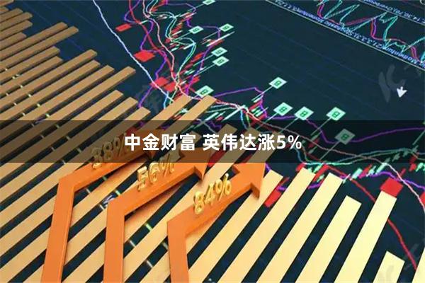 中金财富 英伟达涨5%