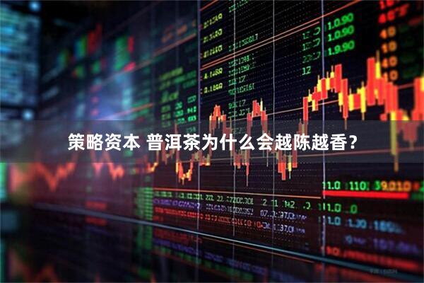 策略资本 普洱茶为什么会越陈越香？