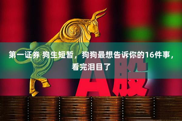 第一证券 狗生短暂，狗狗最想告诉你的16件事，看完泪目了